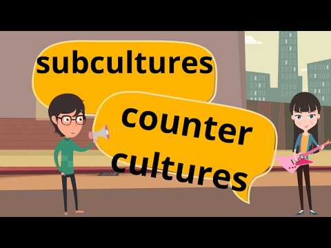 Embedded thumbnail for What is Culture ? 